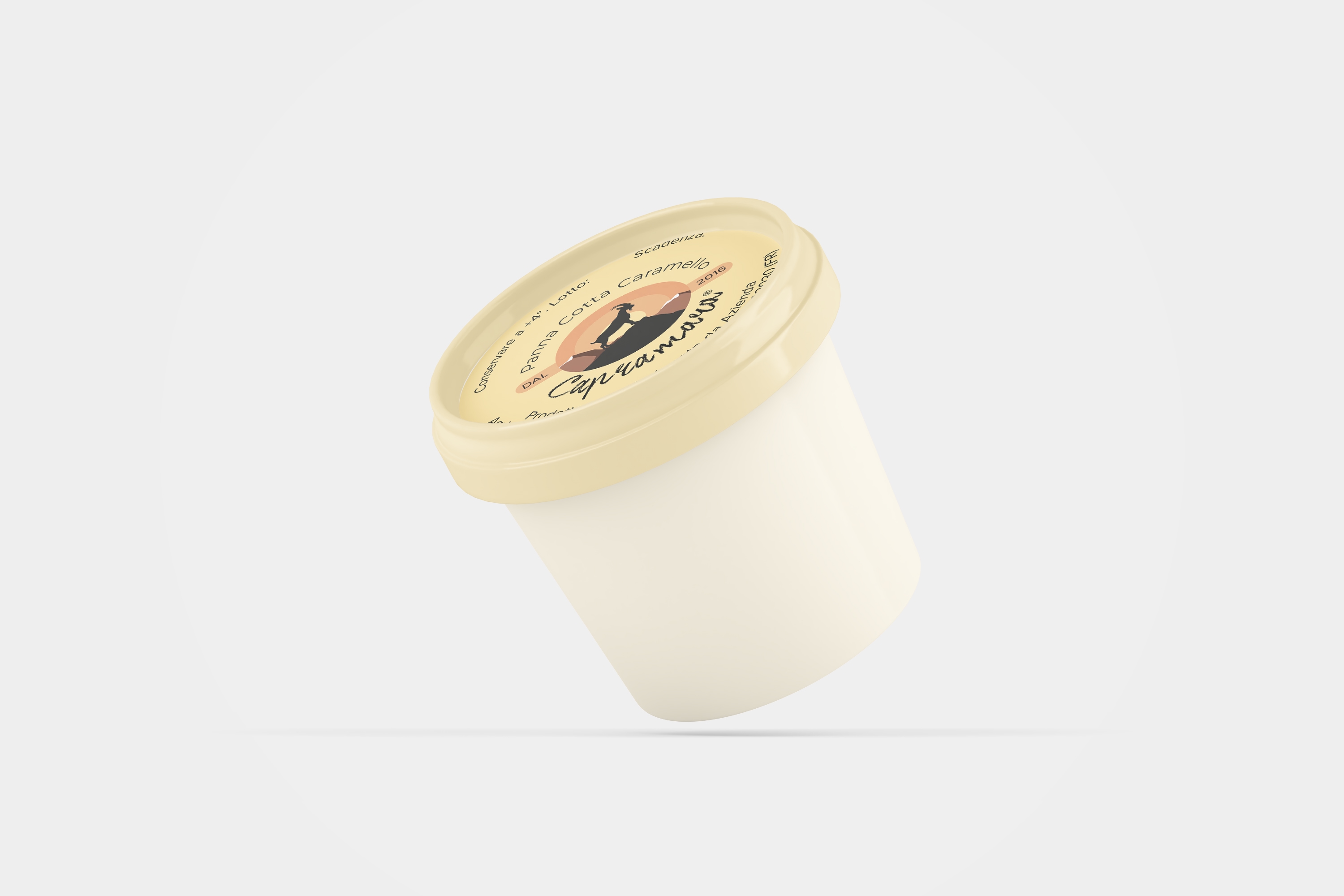 Panna Cotta